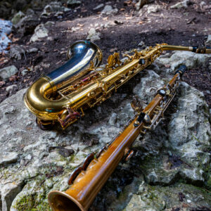 Cours individuel – 1 heure